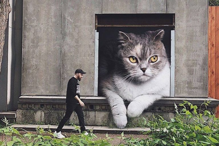 если бы кошки были гигантами