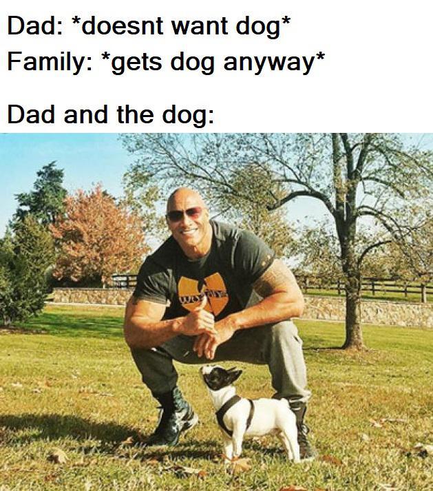 Отец и собака