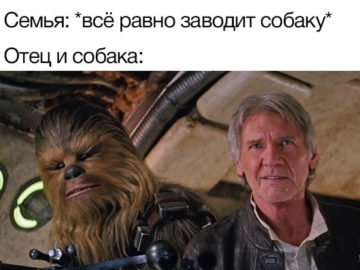 Отец и собака