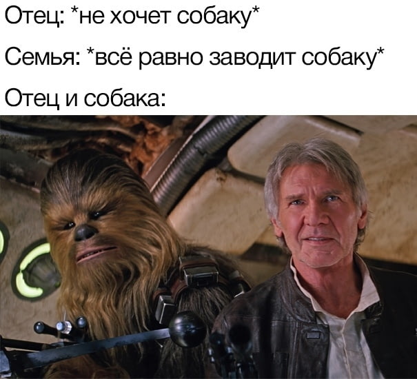 Отец и собака