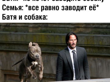Отец и собака