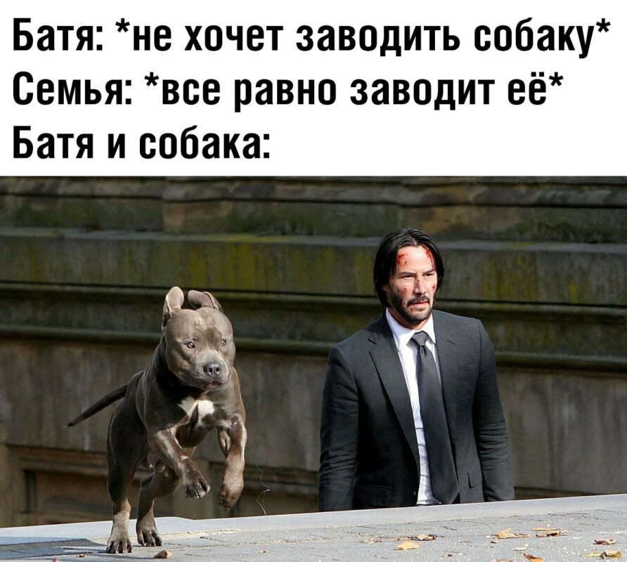 Отец и собака
