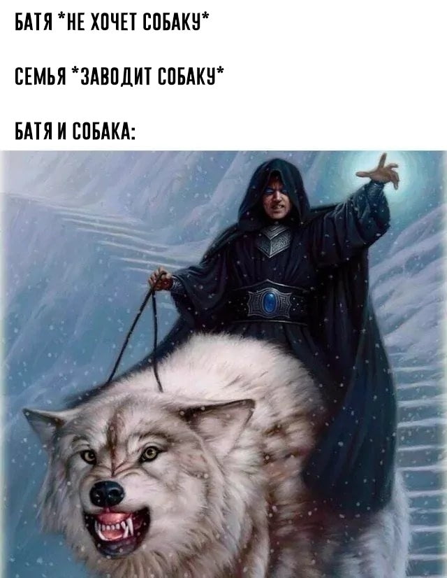 Отец и собака
