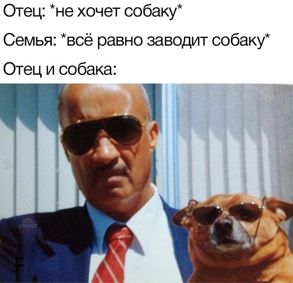 Отец и собака
