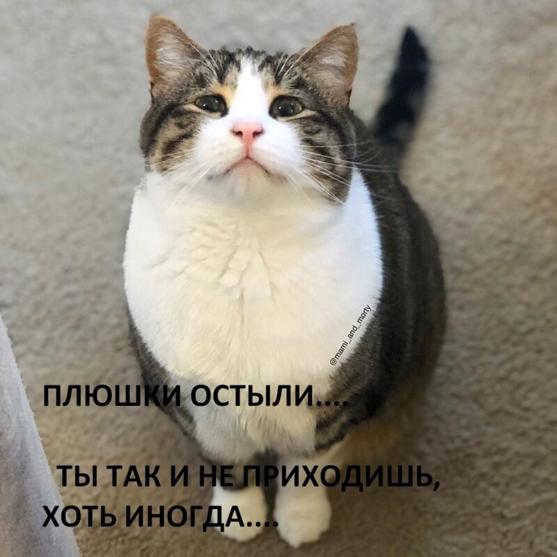 мемы июля 2019