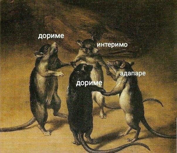 дориме интеримо адапаре