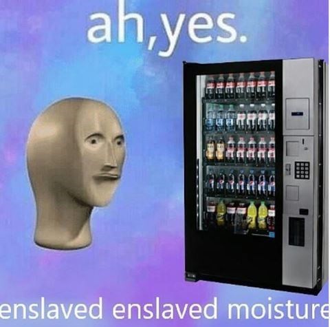 Ah yes enslaved moisture meme
