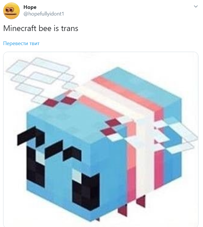 Minecraft bee is trans Minecraft bee is trans