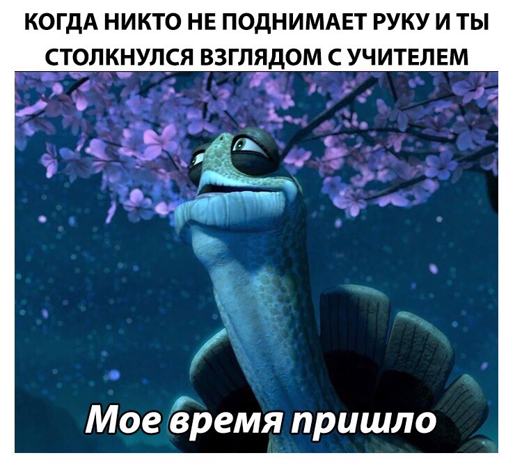 Мое время пришло - мем с черепахой из "Кунг-фу панды"
