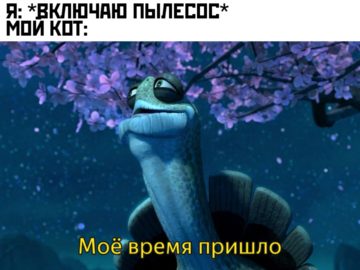 Мое время пришло - мем с черепахой из "Кунг-фу панды"