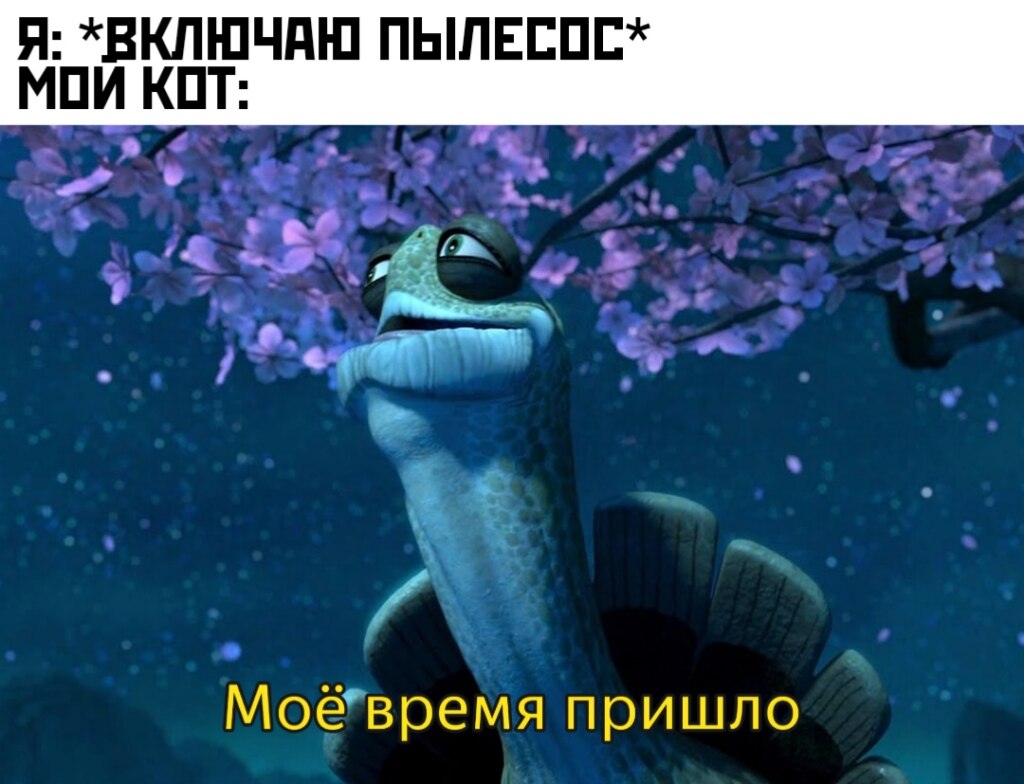 Мое время пришло - мем с черепахой из "Кунг-фу панды"