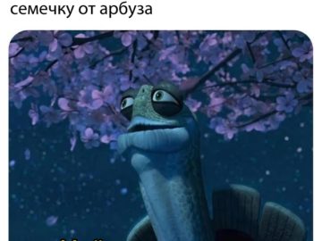 Мое время пришло - мем с черепахой из "Кунг-фу панды"