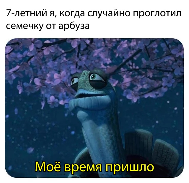 Мое время пришло - мем с черепахой из "Кунг-фу панды"