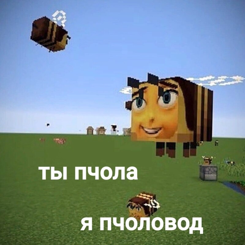 Пчела из Майнкрафта мем Пчела из Майнкрафта мем