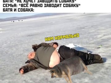 Отец и собака