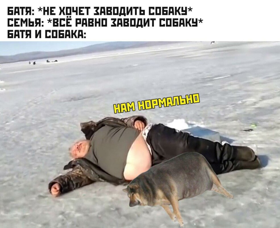 Отец и собака