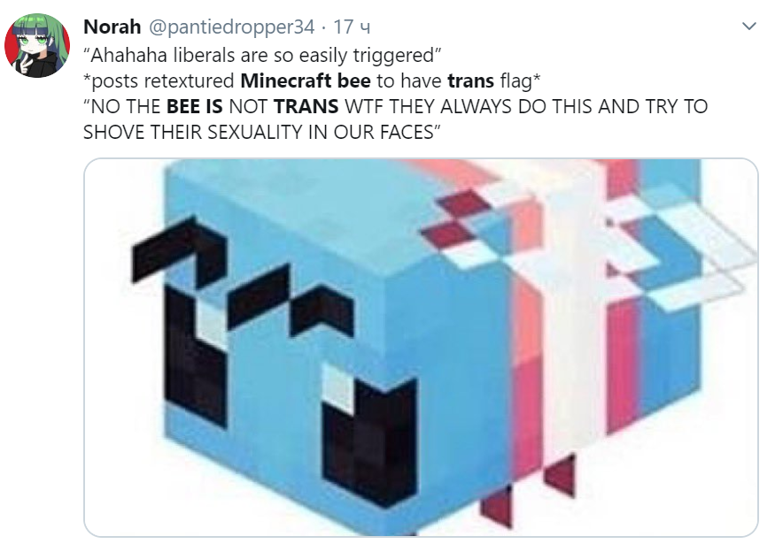 Minecraft bee is trans Minecraft bee is trans