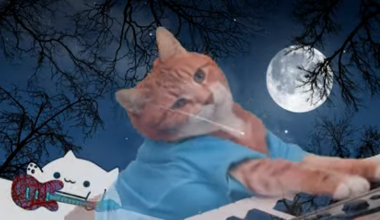 Мемные коты под песню Dancing in the Moonlight