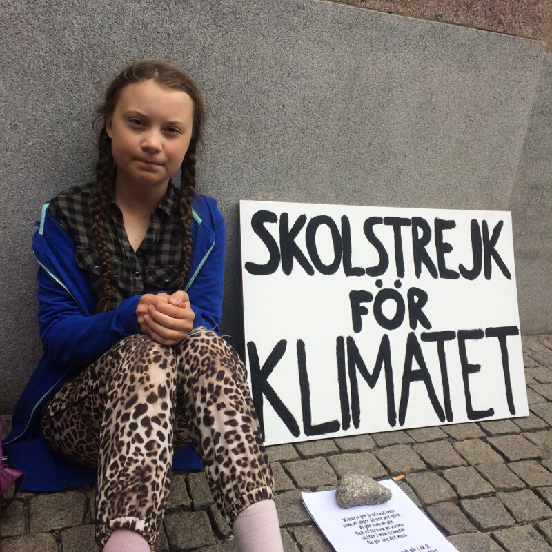 Greta Thunberg meme Greta Thunberg meme