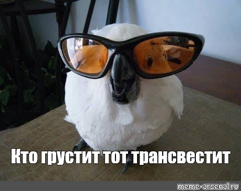 кто грустит тот трансвестит кто грустит тот трансвестит