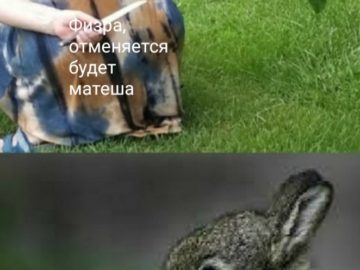 Бабушка с ножом за спиной и кролик мем