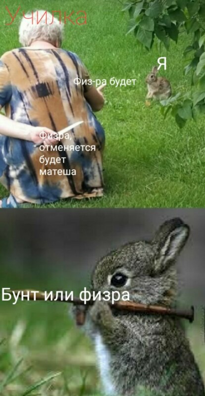 Бабушка с ножом за спиной и кролик мем