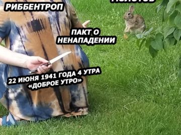 Бабушка с ножом за спиной и кролик мем