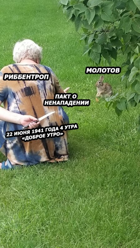 Бабушка с ножом за спиной и кролик мем