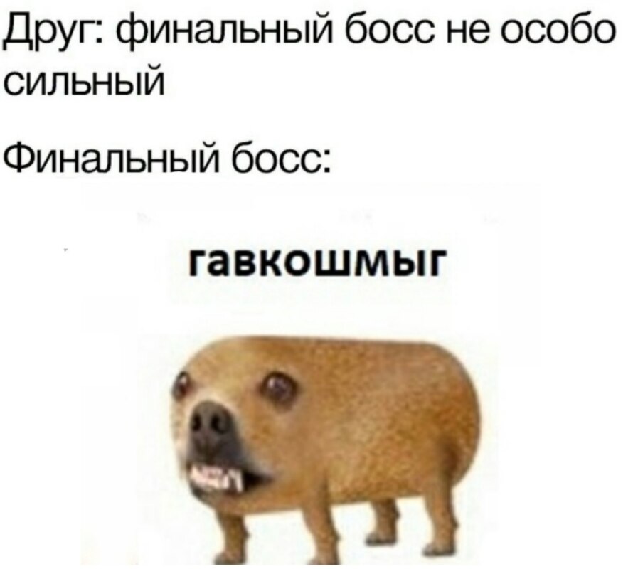 Гавкошмыг Гавкошмыг