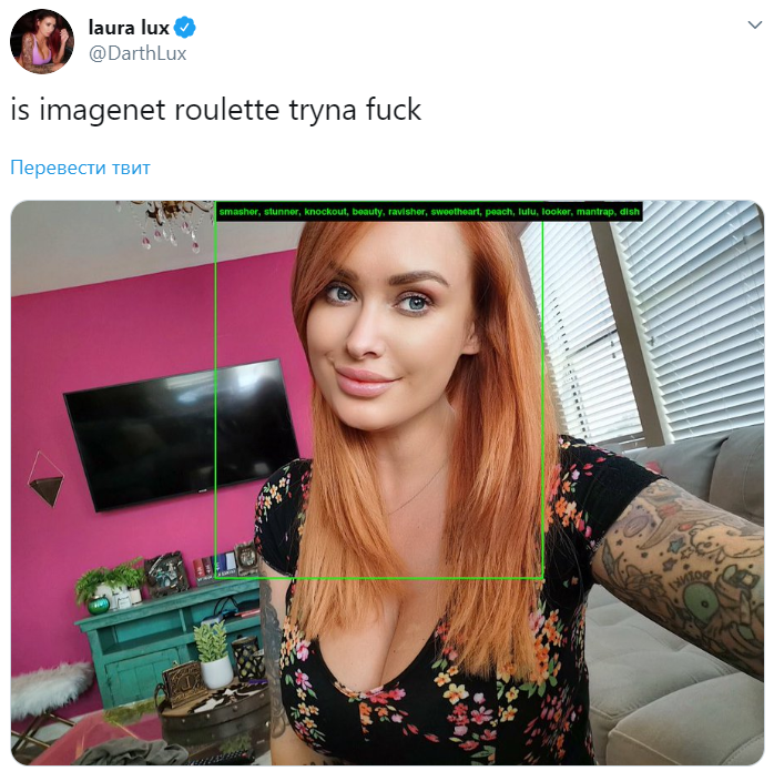 imagenet roulette