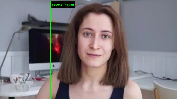 imagenet roulette