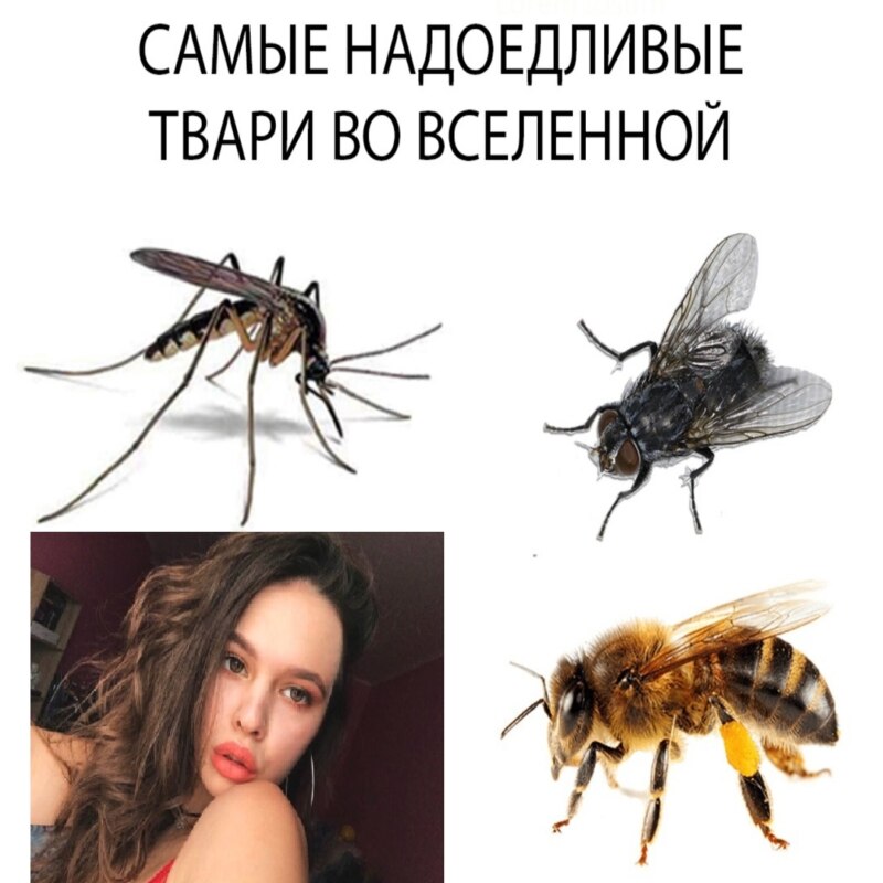 Инстасамка