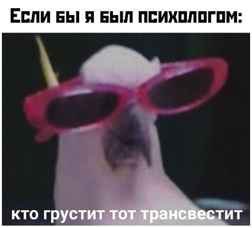 кто грустит тот трансвестит кто грустит тот трансвестит