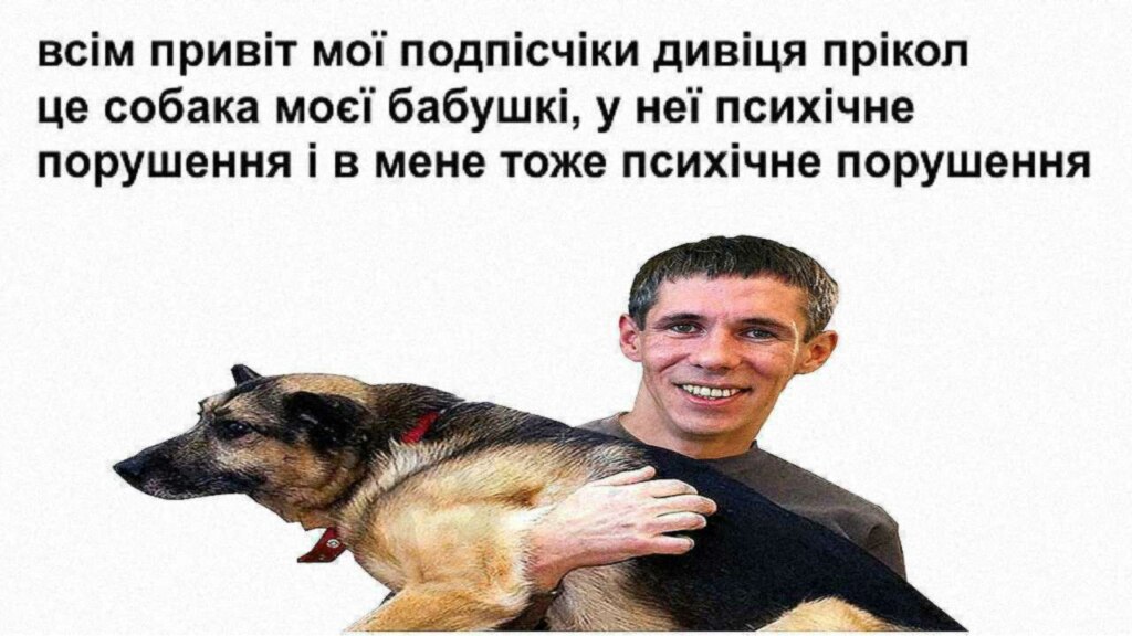 Психiчне порушення мем психические нарушения у собаки