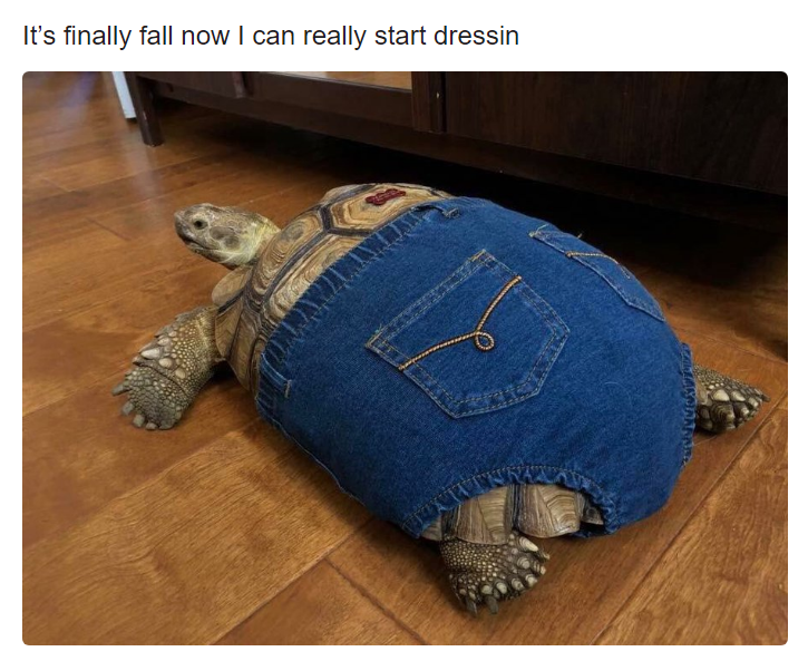 I can really start dressin