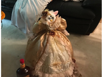 I can really start dressin