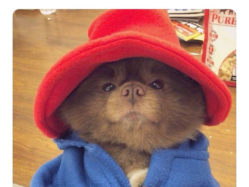 I can really start dressin