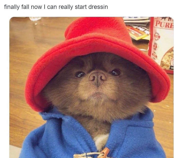 I can really start dressin