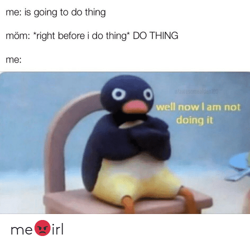 Теперь я не буду этого делать - мем с пингвином Нут Нут Noot Noot