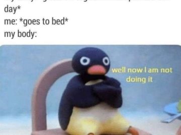 Теперь я не буду этого делать - мем с пингвином Нут Нут Noot Noot