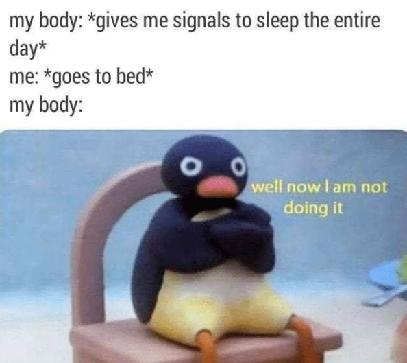 Теперь я не буду этого делать - мем с пингвином Нут Нут Noot Noot