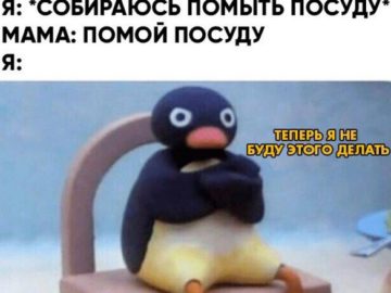 Теперь я не буду этого делать - мем с пингвином Нут Нут Noot Noot