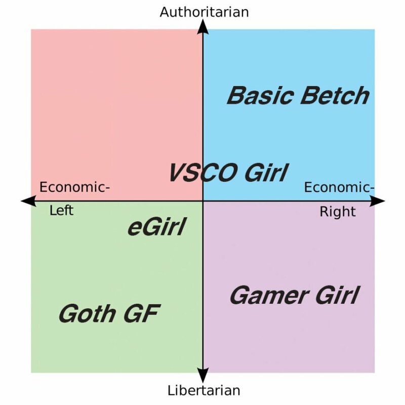 VSCO Girl meme мем