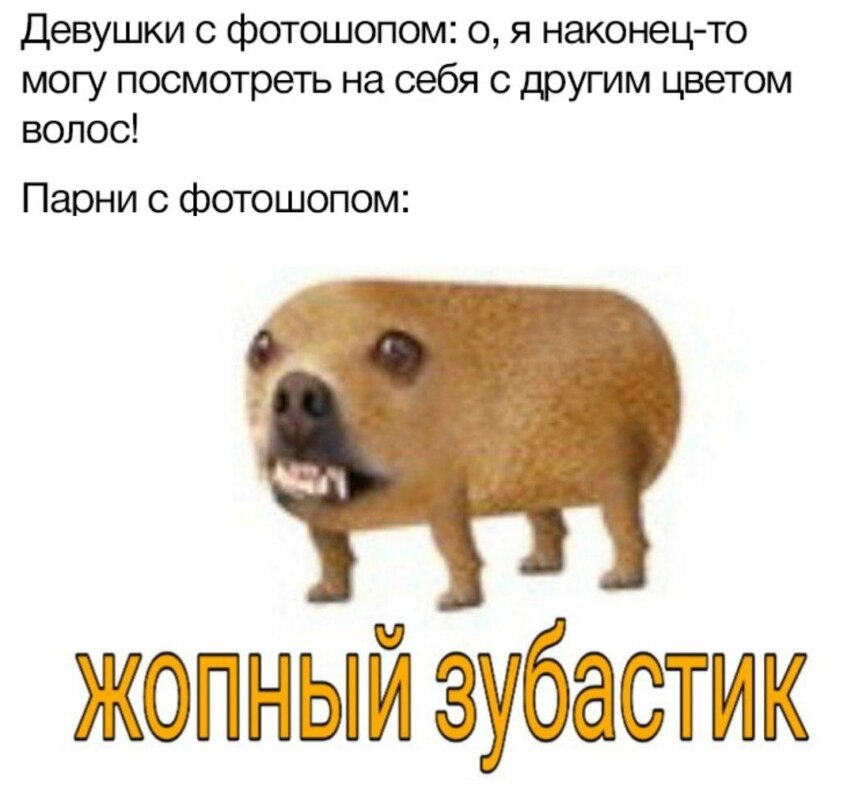 Гавкошмыг Гавкошмыг