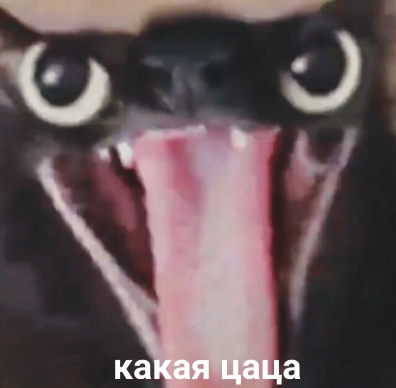 Какая цаца