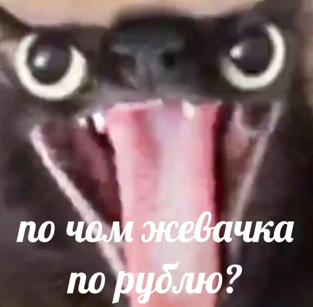 чипсеки мем с котом