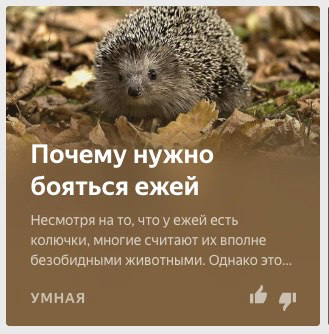 яндекс дзен приколы яндекс дзен приколы