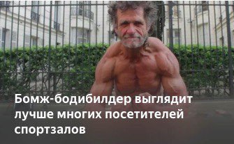 яндекс дзен приколы яндекс дзен приколы