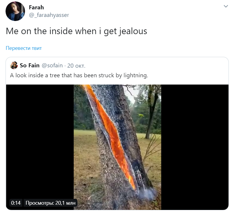 Горящее изнутри дерево