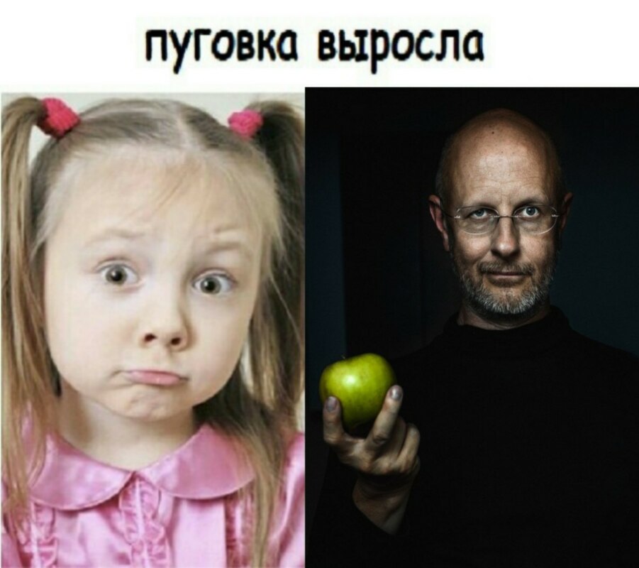 стив хуйс стив хуйс